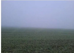 Teren extravilan arabil Troianul, ID: R2884553