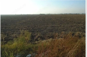 Teren extravilan Loc. Bucovat sat Sarbatoarea, jud. Dolj