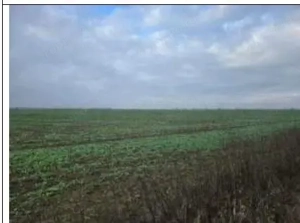 Teren cota parte 1/2 Tunari, ID: R2893981