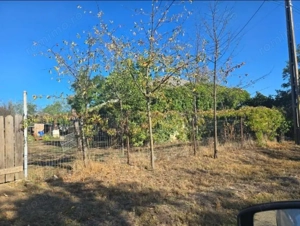 Casa si teren-Com Tamadau Mare,  jud. Calarasi