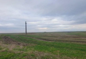 -teren extravilan, com. Satchinez, jud. Timis