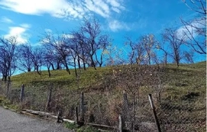 Teren cota parte 1/2, Sat Vistieru, ID: R2809860