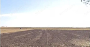 Teren extravilan cota parte 3/16 Amaru, ID: R2764932