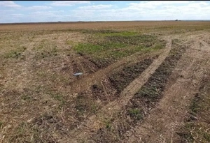 Teren extravilan cota parte 1/2 Alexandria, ID: R2814838