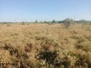 Targu Neamt, Punct Manesti, cota parte 1/2, ID: R2759107