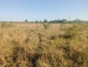 Targu Neamt, Punct Manesti, cota parte 1/2, ID: R2759104