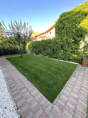 Casa singulara, Ciarda Rosie Timisoara