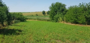 Casa de vânzare în Mihai Viteazu  - imagine 2