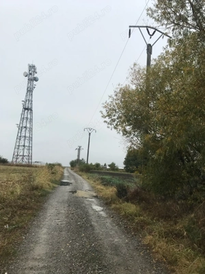 Teren extravilan Cojesti Belciugatele