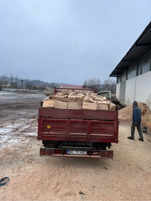 Transport lemn de fag cuburi   județul Bacău