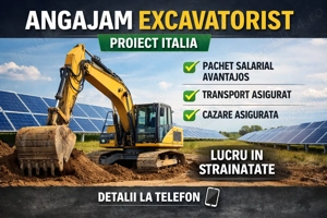 Angajam Excavatorist   Proiect Italia