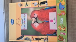 Vand carti de povesti pentru copii