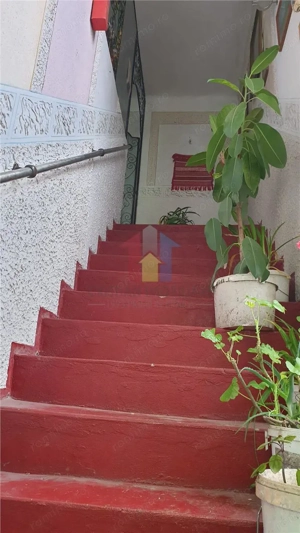 zona Grivitei-Pta Mare Vila P+1, 6 camere, 2 bai teren 242mp deschidere 10 m la strada - imagine 11