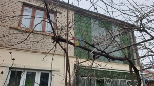 zona Grivitei-Pta Mare Vila P+1, 6 camere, 2 bai teren 242mp deschidere 10 m la strada - imagine 2