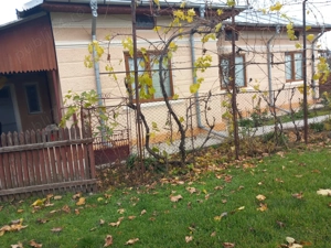 Casă de vânzare - jud. Buzău, Sat Lanurile, com. Ziduri  - imagine 4