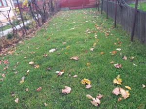 Casă de vânzare - jud. Buzău, Sat Lanurile, com. Ziduri  - imagine 3