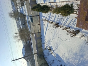 Fara agentii Gaiseanca com CrevediaMare jud Giurgiu - imagine 5