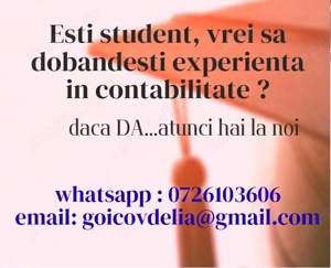 Contabil Junior Part-time Timisoara 