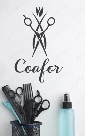 Coleg colega coafor, zona centrala