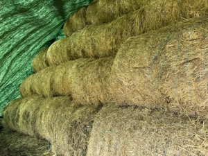 Baloti Lucerna si Lucerna cu Ovaz  - imagine 5