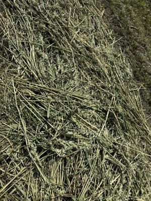 Baloti Lucerna si Lucerna cu Ovaz  - imagine 4