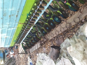 Semanatoare sup 29 cu discuri - imagine 2