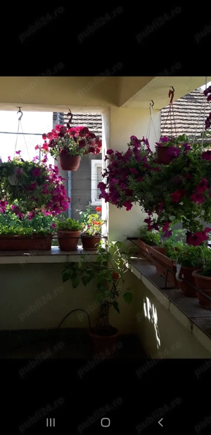 Casa de vânzare - imagine 6