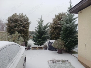 Casa de vanzare - imagine 10