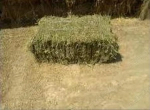 Vand baloti de lucerna