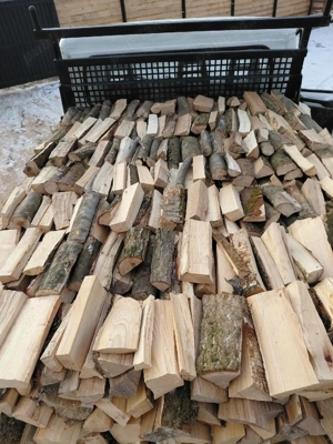 Vand lemne de fag!!! - imagine 4