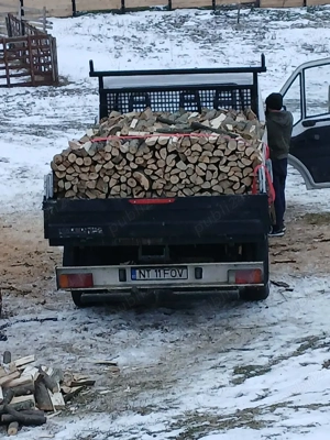 Vand lemne de fag!!! - imagine 3