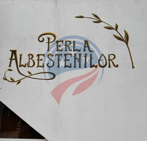 AFACERE FUNCTIONALA SALA EVENIMENTE SI PISCINA - imagine 17