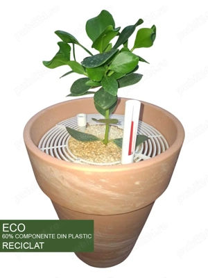 Plante verzi, Spathiphyllum,  Cordyline, Clusia in ghiveci ECO hidroponic, autoudare - imagine 4