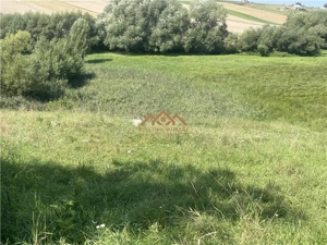 De Vanzare | Teren | Com. Moara - imagine 2