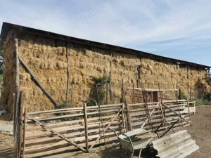 Vând baloti de fân dreptunghiulari 