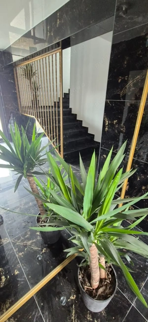 apartament 2 camere studio finalizat langa metrou si parc titan - imagine 10