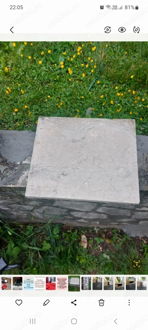 Placi granit culoare gri