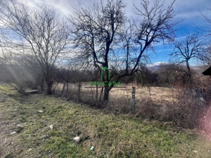 Teren Daesti / 814mp - imagine 6