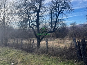 Teren Daesti / 814mp - imagine 2