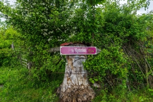 Teren Bran -Sohodol, Strada La mesteceni, 6900mp - imagine 14