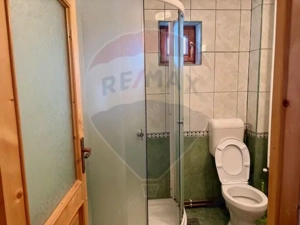 Doua case in stil maramuresean de vanzare in Breb/Maramures - imagine 13