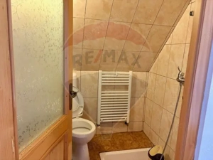 Doua case in stil maramuresean de vanzare in Breb/Maramures - imagine 11