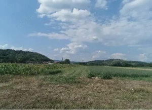 Cota de 1/2 din teren 2356 mp Com. Mihaesti, jud Valcea