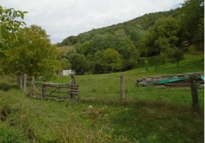 Teren extravilan-Loc. Roscani, comuna Dobra, judetul Hunedoara;