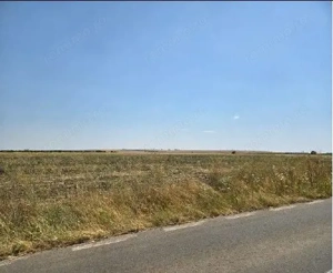 Teren extravilan Smardioasa, cota 1/6, ID: R2688427