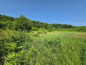 Teren Duda Epureni, ID: R2609594