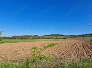 Cota de 1/2 din teren extravilan, comuna Rogova, Jud Mehedinti CP2549956