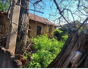 Cota de 1/2 din casa si teren- sat Poroinița, Comuna Rogova, Jud Mehedinti;