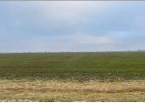 Teren Extravilan Cerna, cota parte 1/5 ID: R2581973