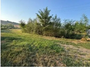 Teren partial intravilan Romani, judetul Neamt, ID: R2326723